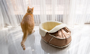 Moccasin Pet Bed with a Cat