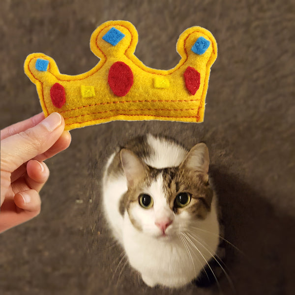 a cat looking at the crown catnip cat toy