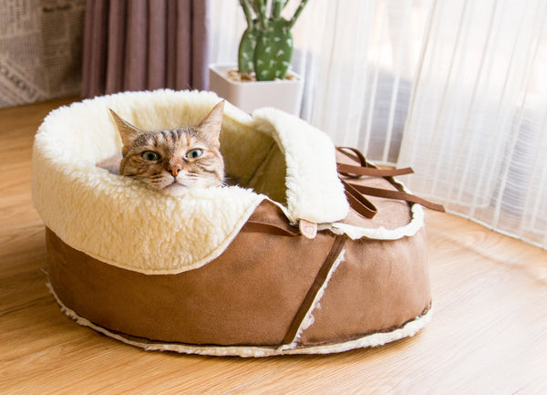 Moccasin Bed in Mocha side view with a cat in it 