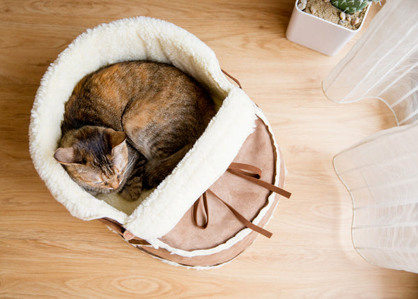 top view of the moccasin bed with a cat sleeping in it