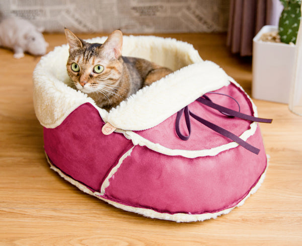pink moccasin pet bed with a cat in it