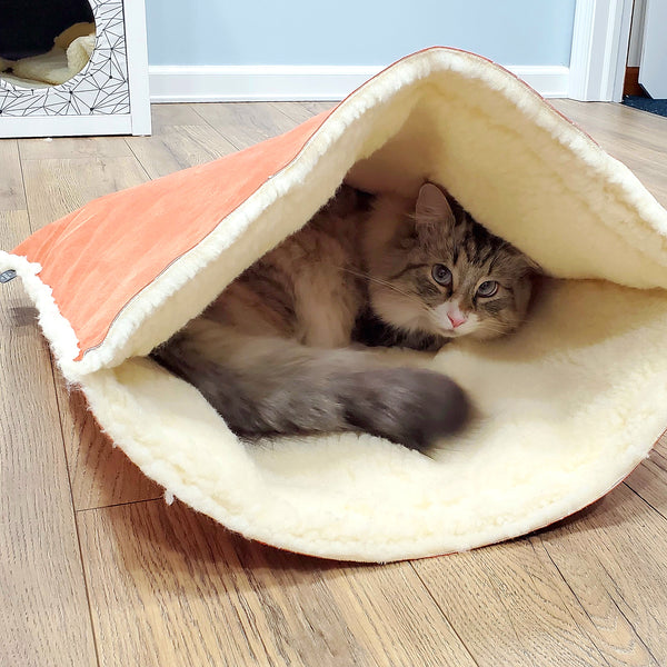 cat nesting in a sherpa cave