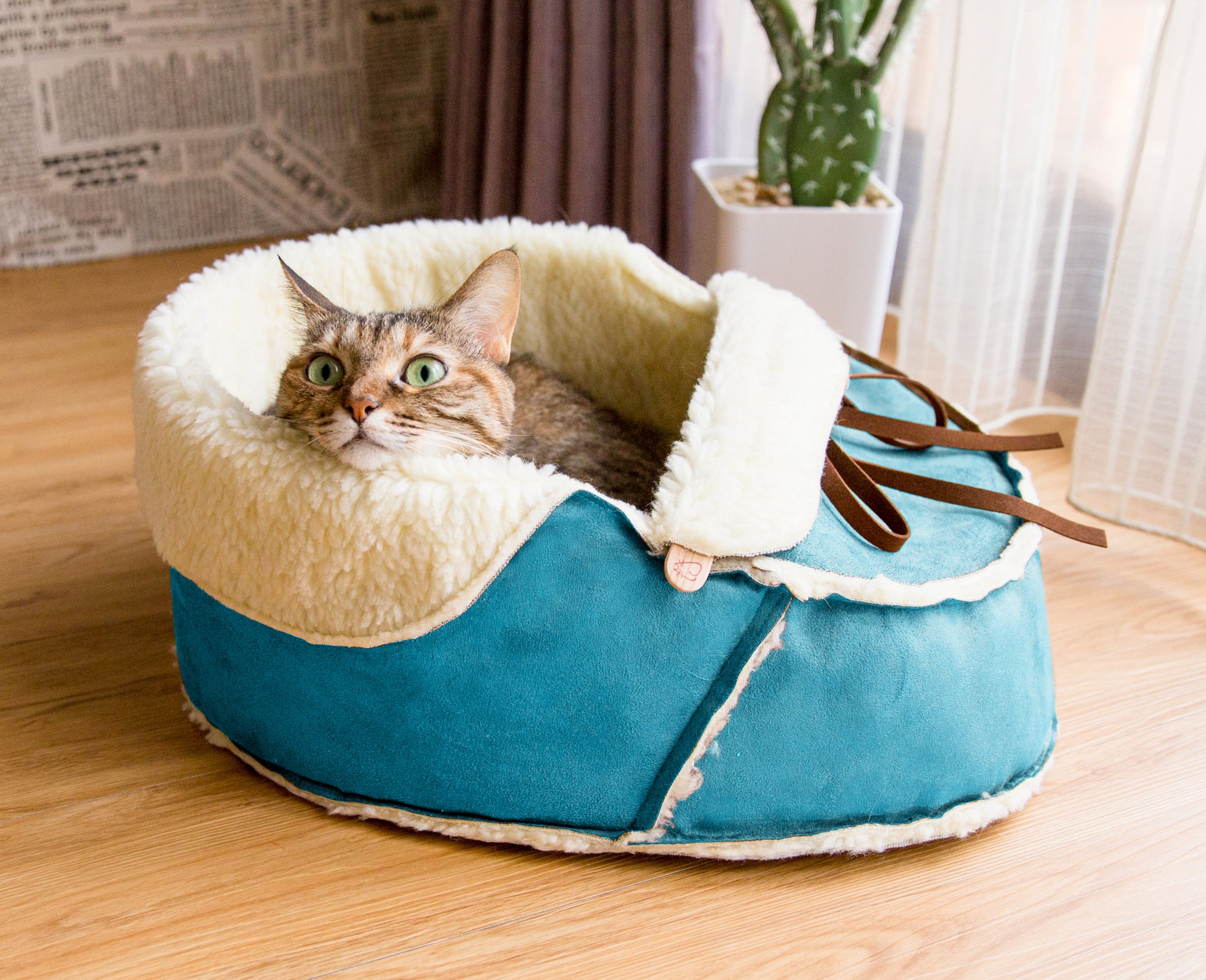 Shoe Cat Bed in blue suede with a cat in it