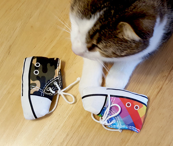 Cat playing with sneaker cat toys
