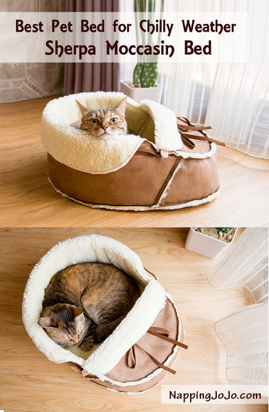 Best pet bed for chilly weather: sherpa moccasin bed