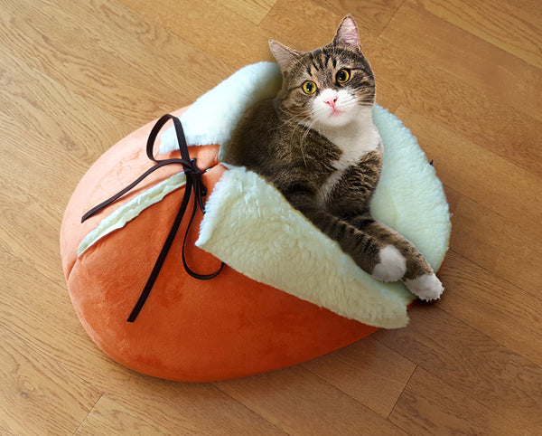 A cat sleeping in the slipper bed in orange