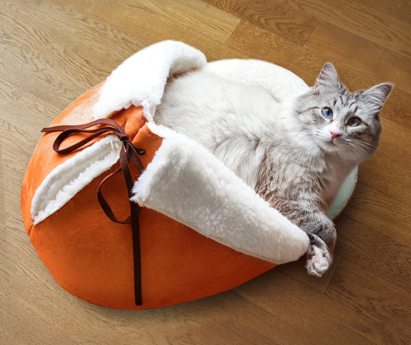 cat sleeping in a tangerine giant slipper pet bed