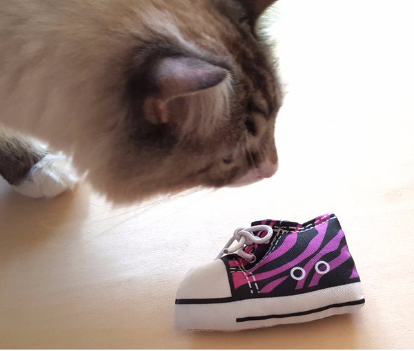 Cat playing a catnip shoe toy