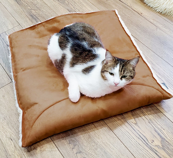 cat sleeping on a brown cushion