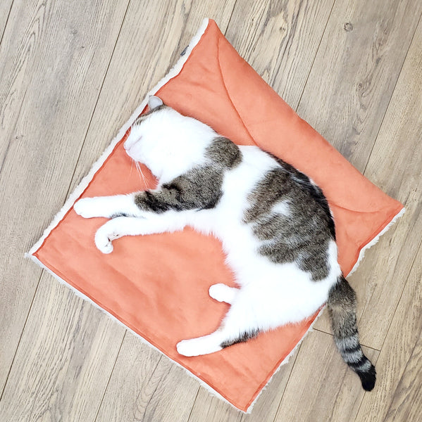 a cat laying on a orange cushion