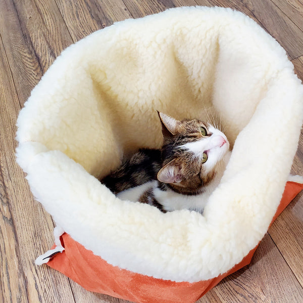 cat peeking out of a snuggle cave